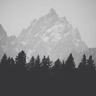 Mobile black and white wallpaper