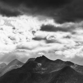 Mobile black and white wallpaper