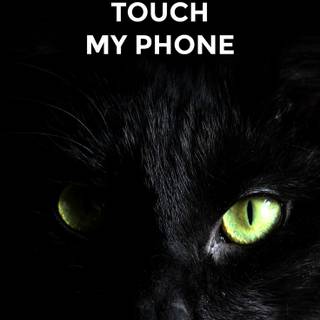 Black cat mobile wallpaper