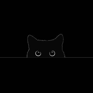 Black cat mobile wallpaper