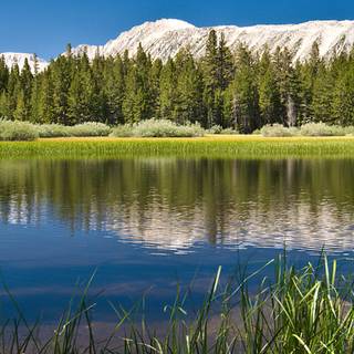 Lake mobile wallpaper