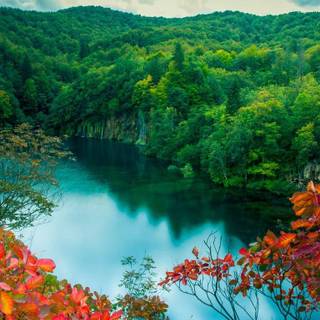 Lake mobile wallpaper