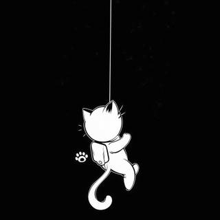 Black cat mobile wallpaper