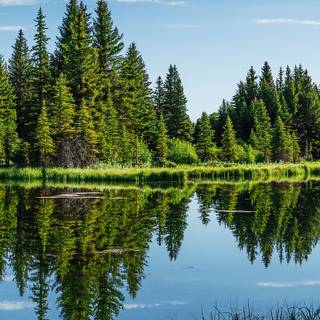 Lake mobile wallpaper