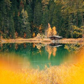 Lake mobile wallpaper