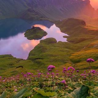 Lake mobile wallpaper