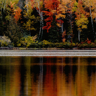 Lake mobile wallpaper