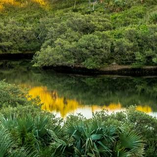 Lake mobile wallpaper