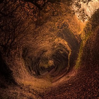 Hobbit mobile wallpaper