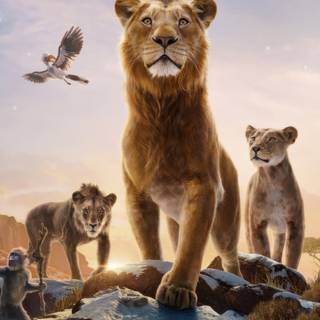 Lion King mobile wallpaper