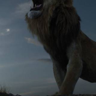 Lion King mobile wallpaper