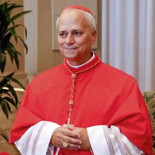 Robert Francis Prevost​​​​ wallpaper