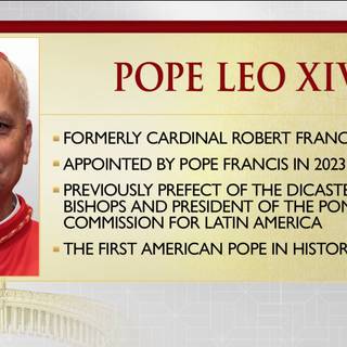 Pope Leo XIV wallpaper