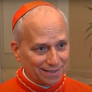 Pope Leo XIV wallpaper