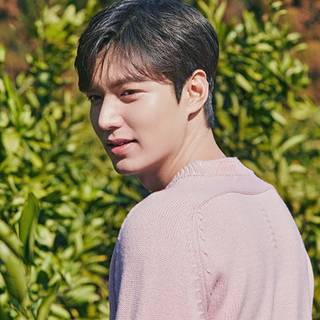 Lee Minho wallpaper