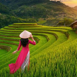 Vietnam top places wallpaper