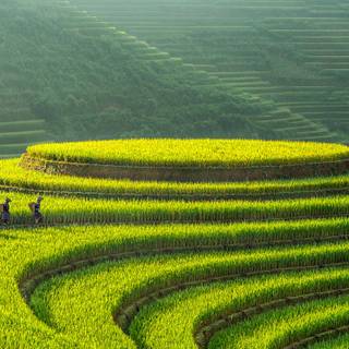Vietnam top places wallpaper