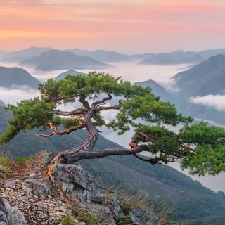 South Korea landscape wallpaper