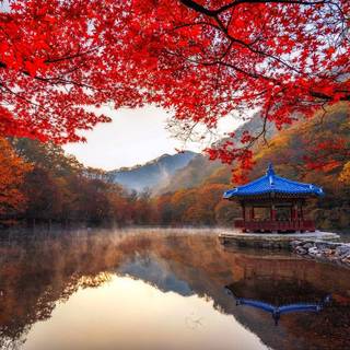 South Korea landscape wallpaper