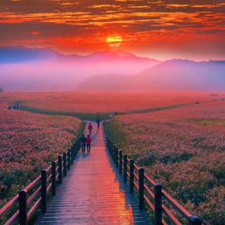 South Korea landscape wallpaper