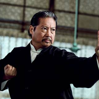 Sammo Kam-Bo Hung wallpaper
