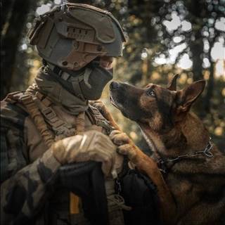 French Armed Forces wallpaper