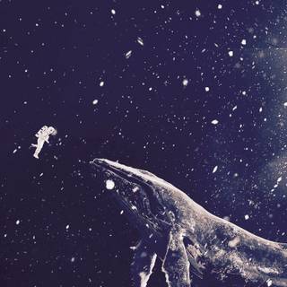 Whalien 52 wallpaper