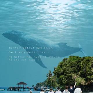 Whalien 52 wallpaper