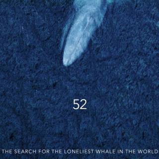 Whalien 52 wallpaper