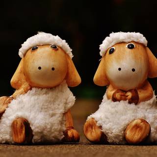 Funny sheep wallpaper