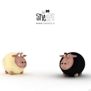 Funny sheep wallpaper