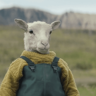 Funny sheep wallpaper