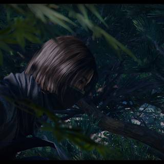 Fujibayashi Naoe wallpaper