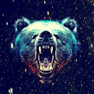 Galaxy bear wallpaper