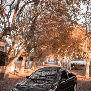 Honda Civic EJ1 wallpaper