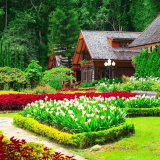 Flower house wallpaper