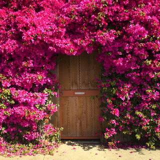 Flower house wallpaper