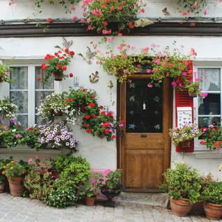 Flower house wallpaper