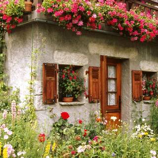 Flower house wallpaper