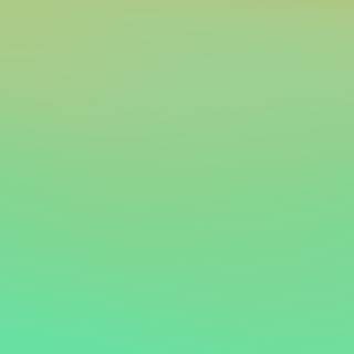 Summer light green wallpaper