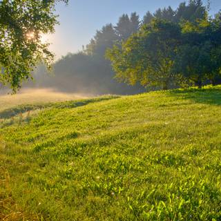 Summer morning 4k wallpaper