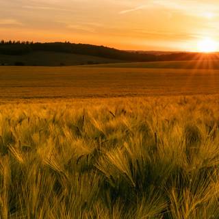 Summer morning 4k wallpaper