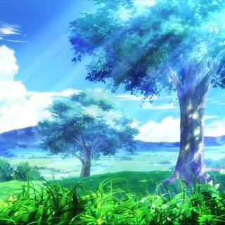 Anime nature spring wallpaper