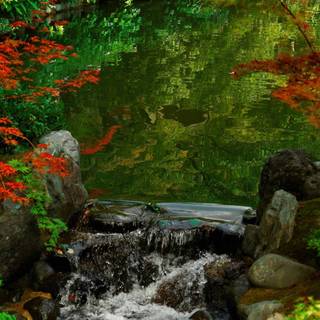 Spring Japan forest wallpaper