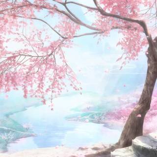 Anime nature spring wallpaper