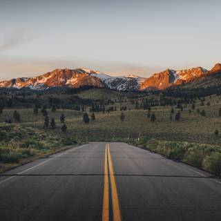 Summer morning 4k wallpaper