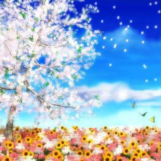 Anime nature spring wallpaper