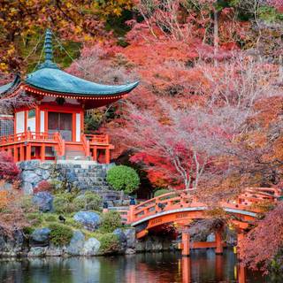 Spring Japan forest wallpaper