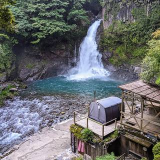 Spring Japan forest wallpaper