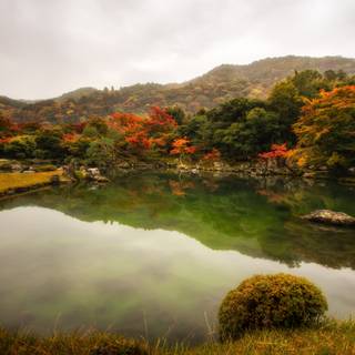 Spring Japan forest wallpaper